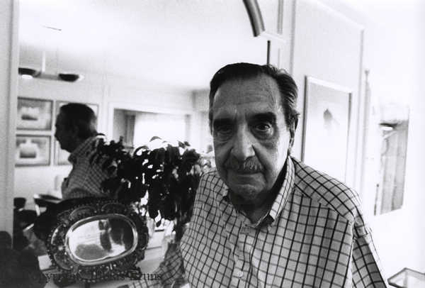 raúl alfonsín