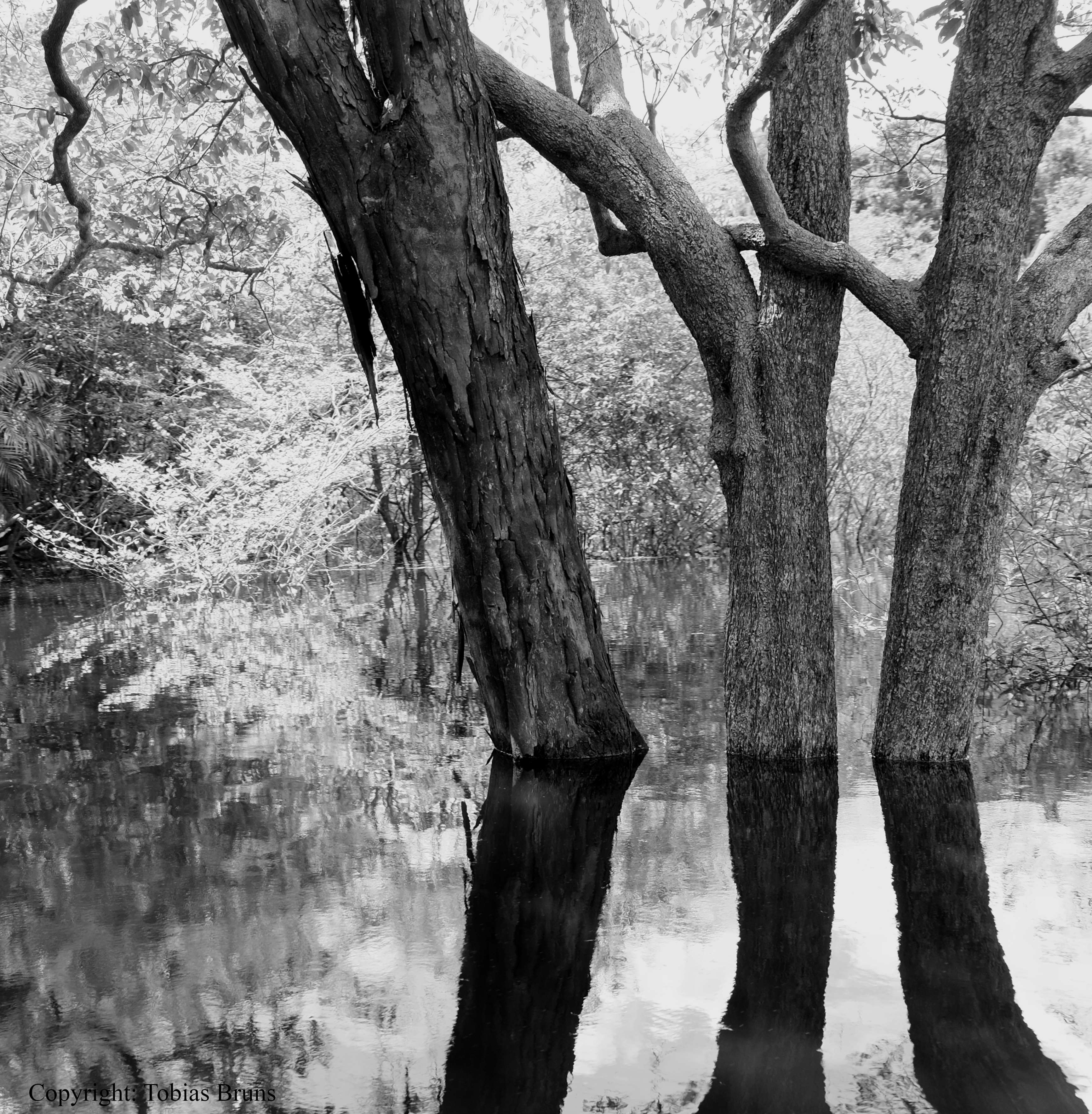 Landscape and Nature Photography